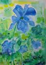 Blue Poppies