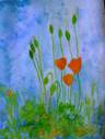 Orange Poppies