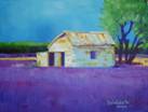 Lavender Fields